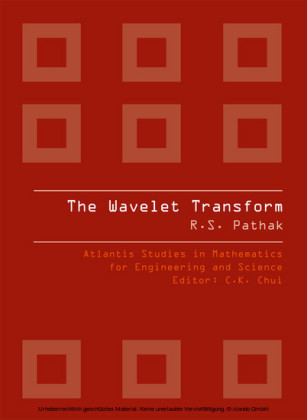 THE WAVELET TRANSFORM