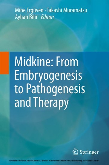 Midkine: From Embryogenesis to Pathogenesis and Therapy main product photo