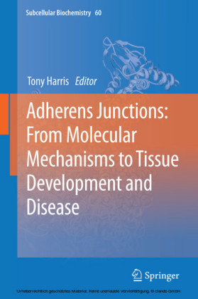 Adherens Junctions: from Molecular Mechanisms to Tissue Development and Disease