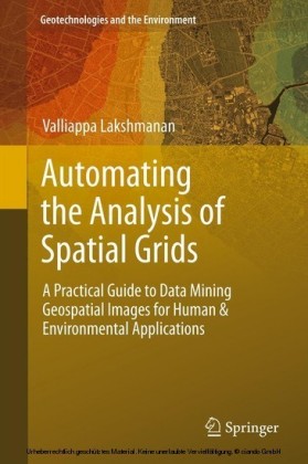 Automating the Analysis of Spatial Grids