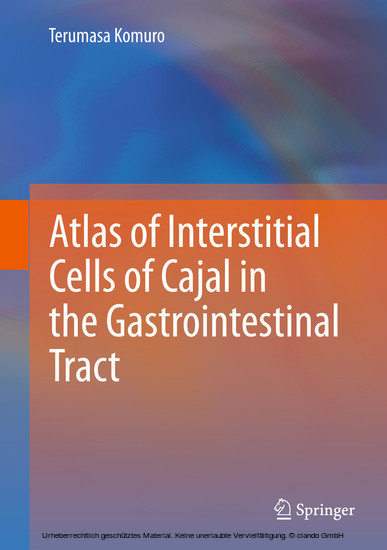 Atlas of Interstitial Cells of Cajal in the Gastrointestinal Tract main product photo