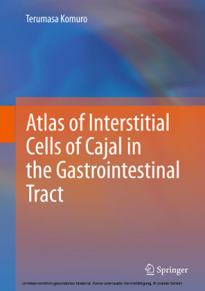 Atlas of Interstitial Cells of Cajal in the Gastrointestinal Tract