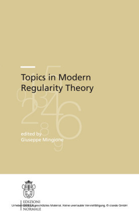 Topics in Modern Regularity Theory