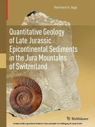 Quantitative Geology of Late Jurassic Epicontinental Sediments in the Jura Mountains of Switzerland