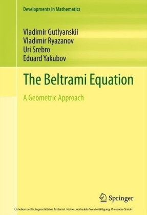 The Beltrami Equation