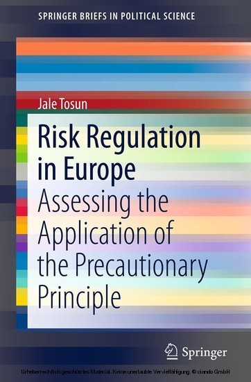 Risk Regulation in Europe main product photo
