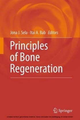 Principles of Bone Regeneration