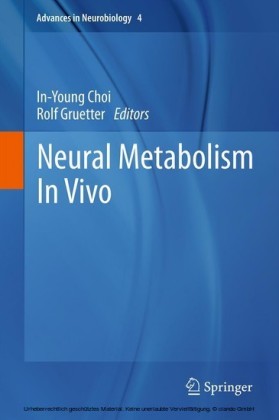 Neural Metabolism In Vivo