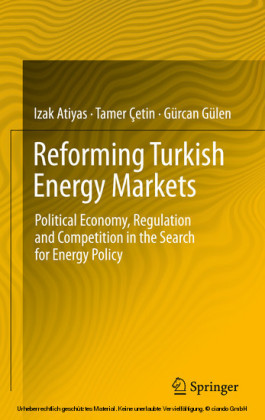 Reforming Turkish Energy Markets