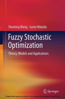 Fuzzy Stochastic Optimization