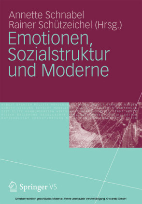 Emotionen, Sozialstruktur und Moderne
