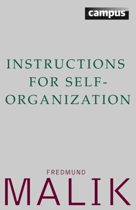 Instructions for Self-Organization