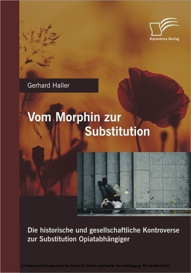 Vom Morphin zur Substitution: Die historische und gesellschaftliche Kontroverse zur Substitution Opiatabhängiger main product photo