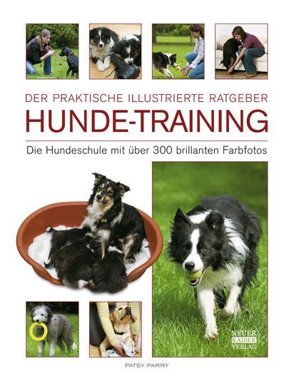 Hunde-Training main product photo