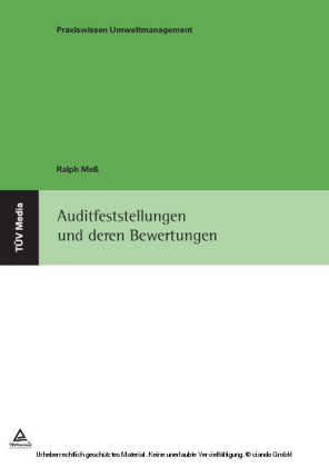 Auditfeststellungen und deren Bewertungen