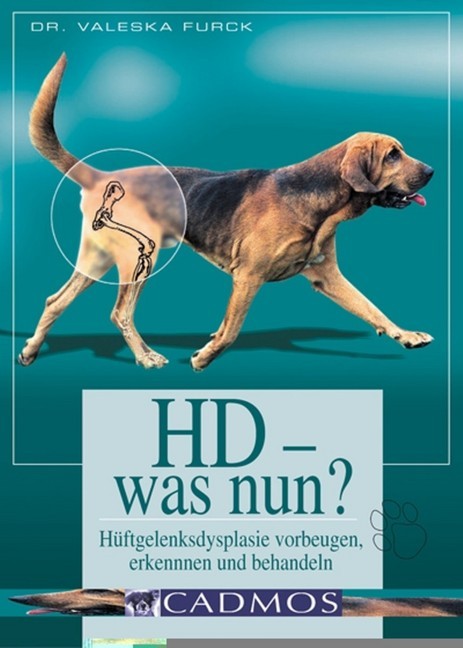 HD - was nun main product photo