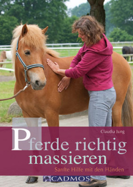 Pferde richtig massieren main product photo