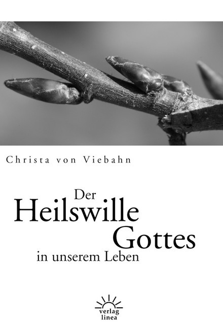 Der Heilswille Gottes in unserem Leben main product photo