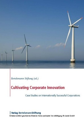 Cultivating Corporate Innovation