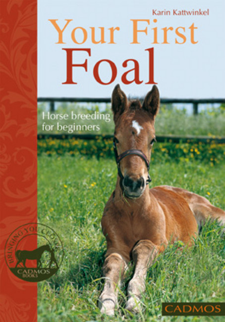 Your First Foal main product photo