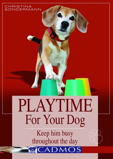Playtime for your dog main product photo