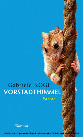 Vorstadthimmel main product photo