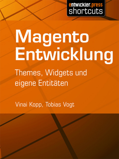 Magento Entwicklung main product photo