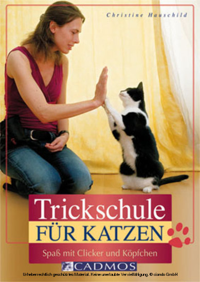 Trickschule für Katzen main product photo