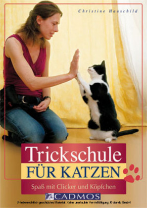 Trickschule für Katzen