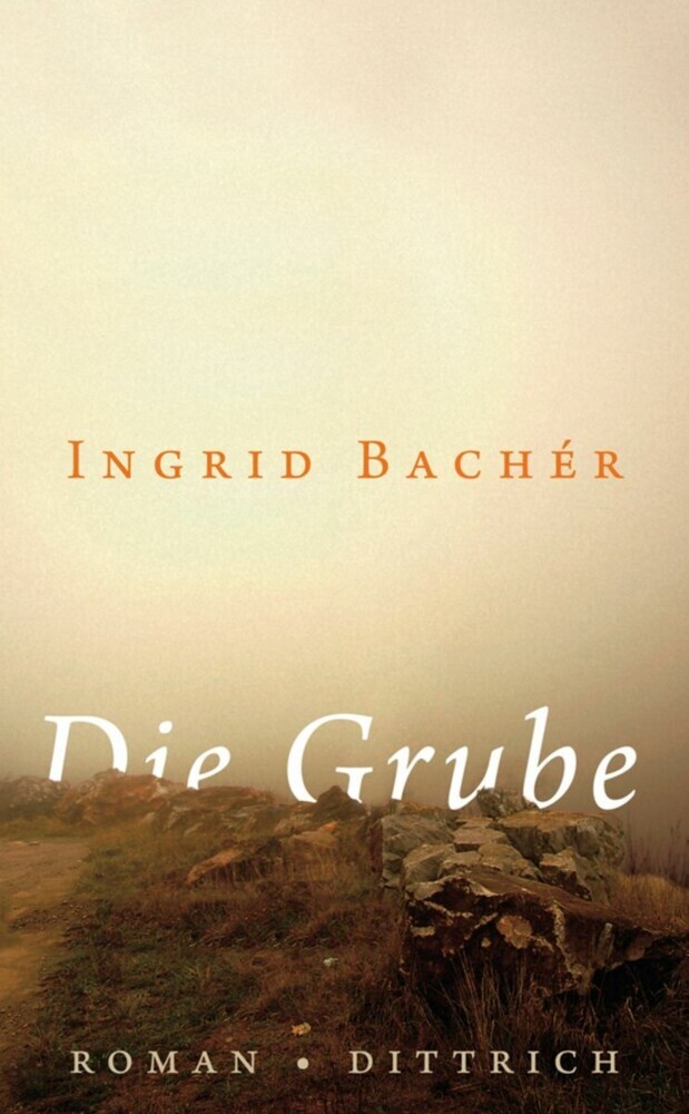 Die Grube main product photo