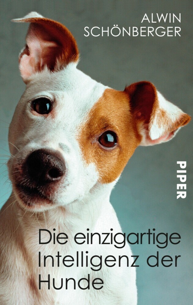 Die einzigartige Intelligenz der Hunde main product photo