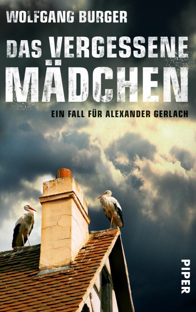 Das vergessene Mädchen main product photo