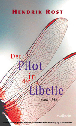 Der Pilot in der Libelle