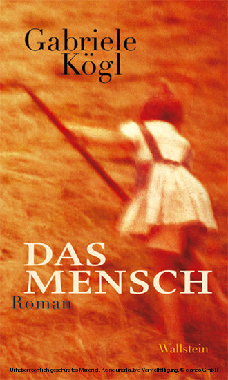 Das Mensch main product photo