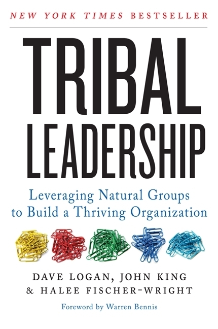 Tribal Leadership main product photo