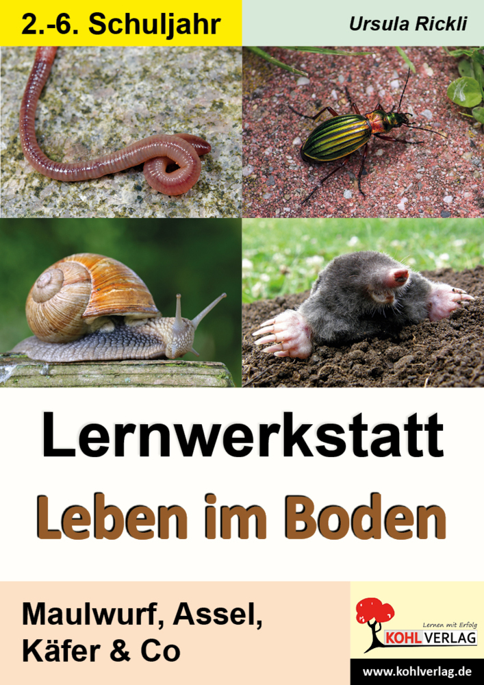 Lernwerkstatt Leben im Boden main product photo