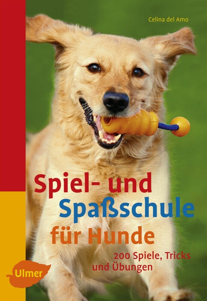 Spiel- und Spaßschule für Hunde main product photo