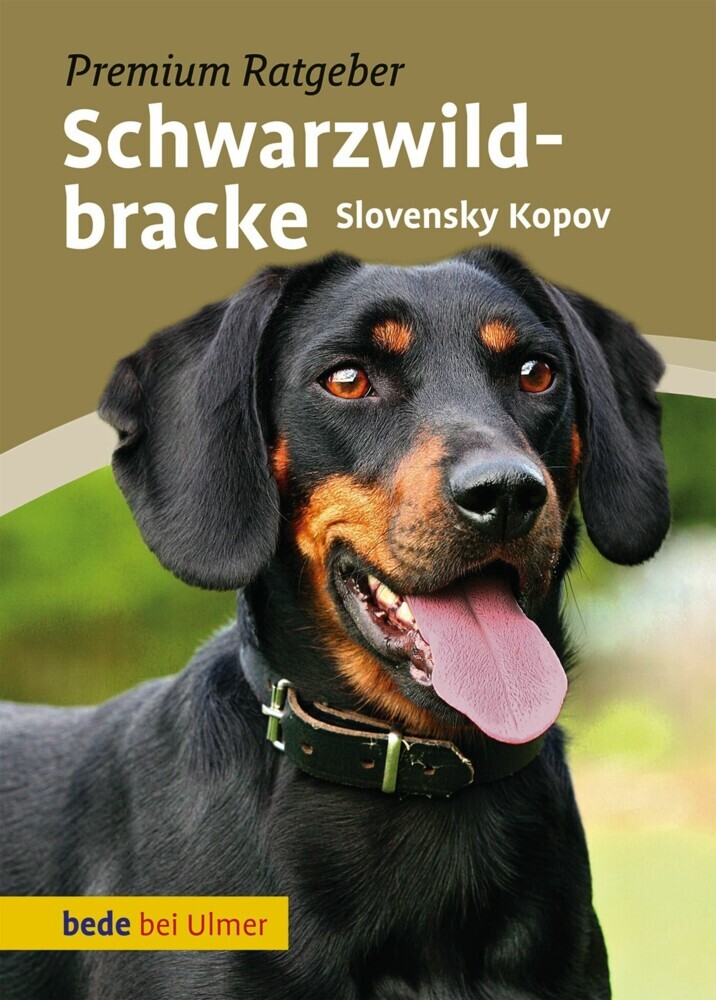 Schwarzwildbracke main product photo