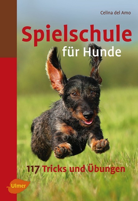 Spielschule für Hunde main product photo