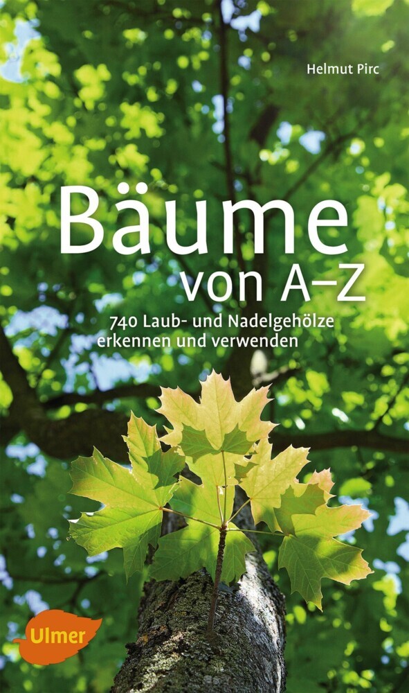 Bäume von A-Z main product photo