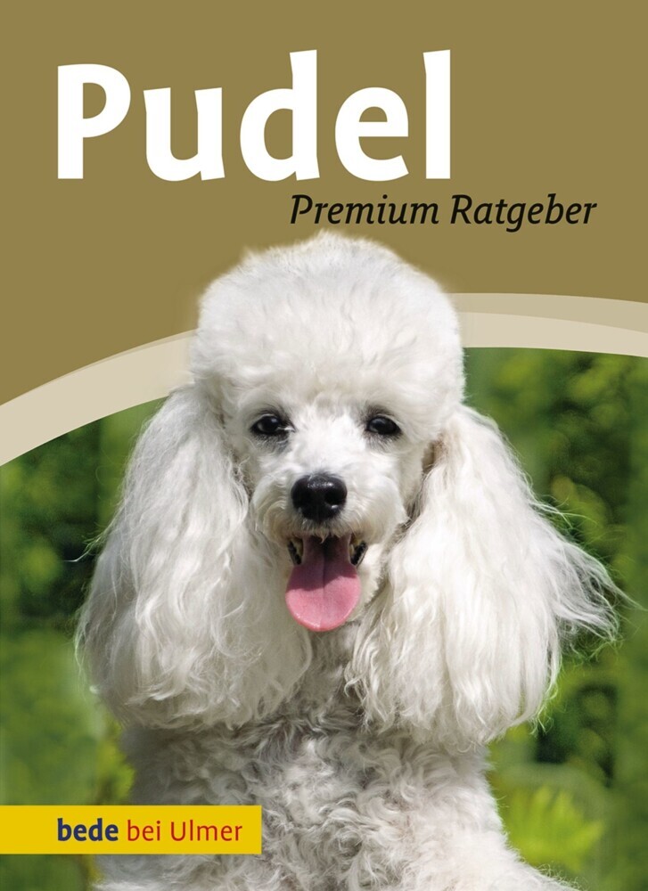 Pudel main product photo