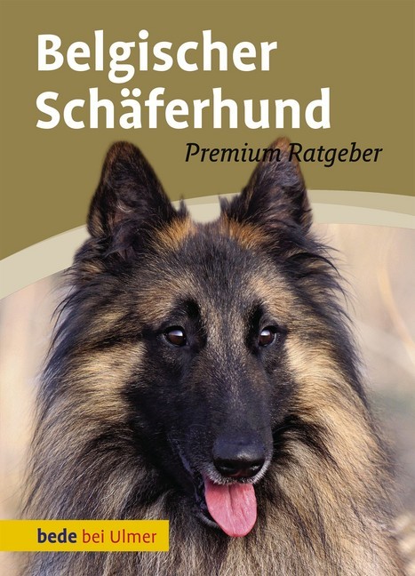 Belgischer Schäferhund main product photo
