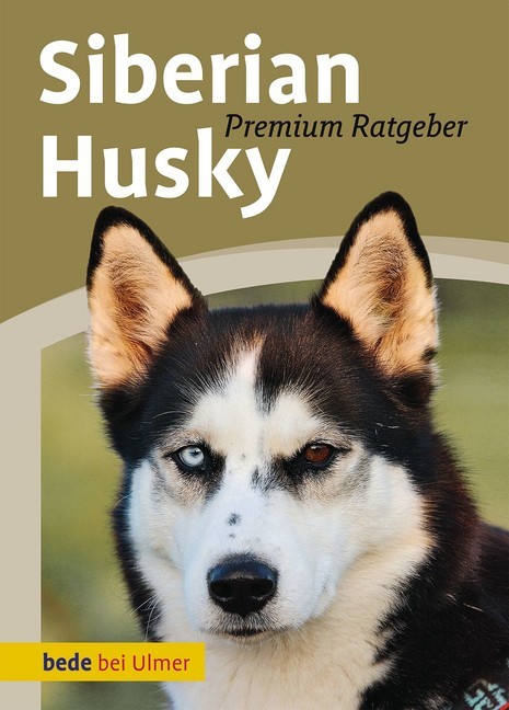 Siberian Husky main product photo