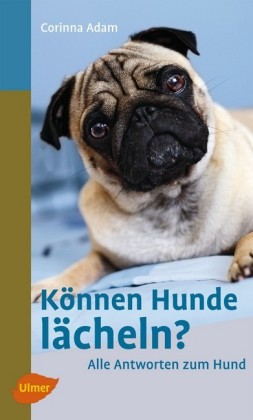Können Hunde lächeln?