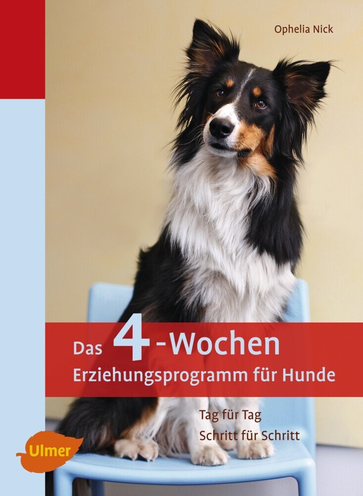 Das 4-Wochen Erziehungsprogramm für Hunde main product photo