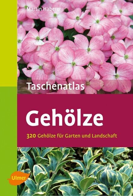 Gehölze main product photo