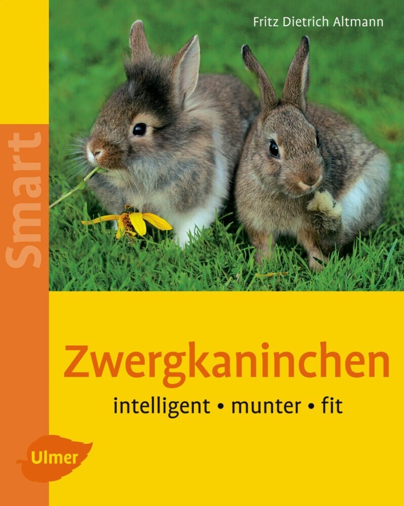 Zwergkaninchen main product photo