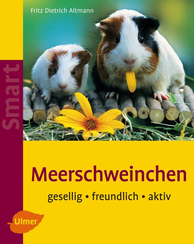 Meerschweinchen main product photo