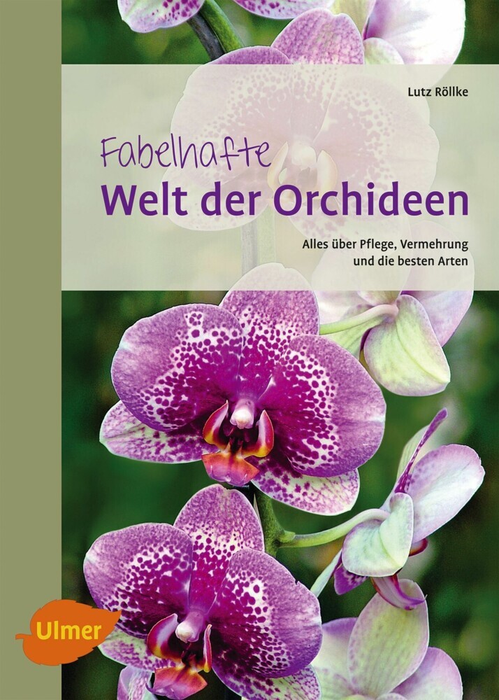 Fabelhafte Welt der Orchideen main product photo
