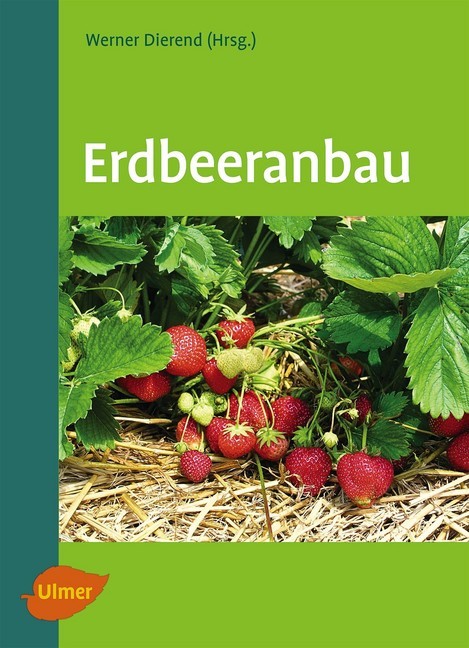 Erdbeeranbau main product photo